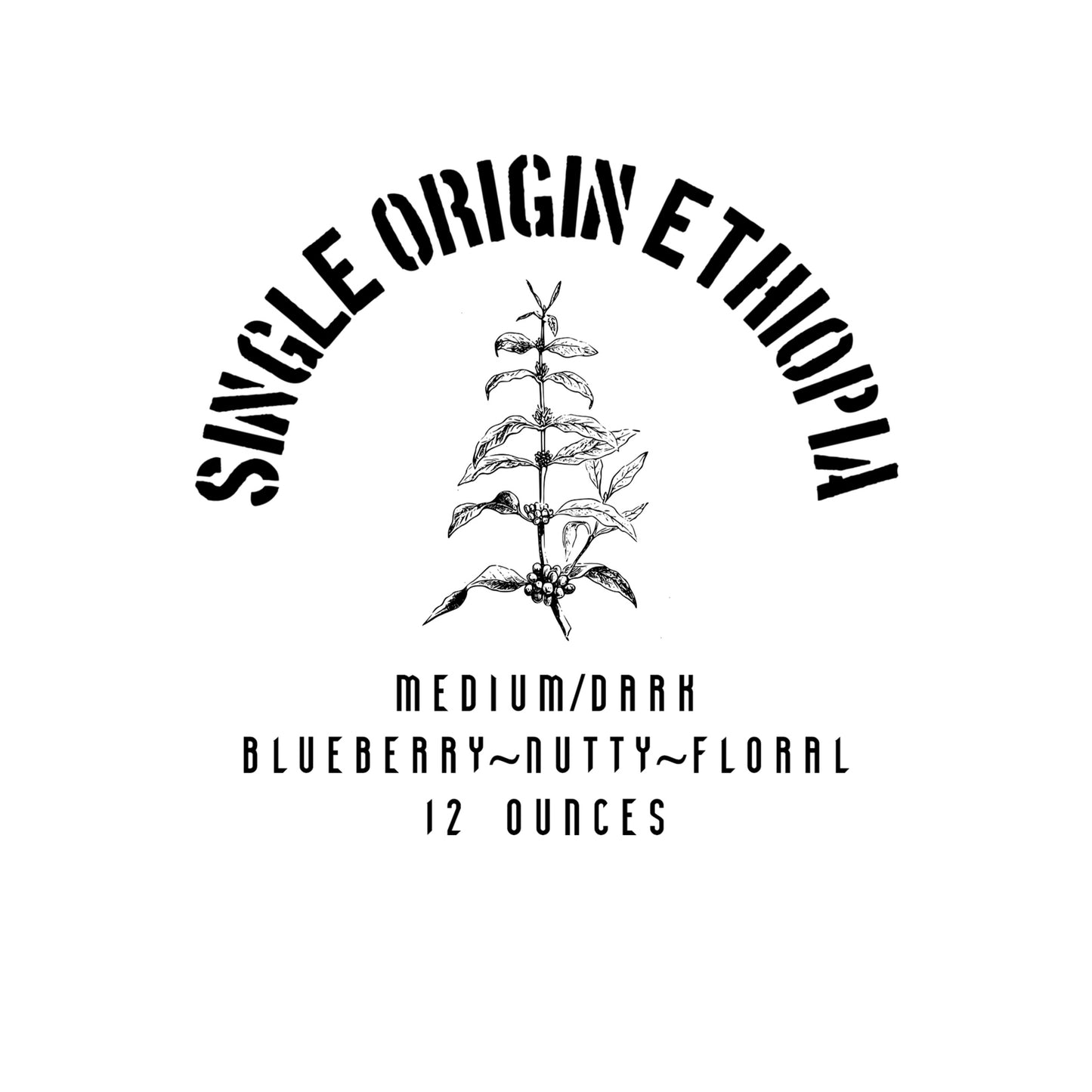 Single Origin Ethiopia - Whole Bean