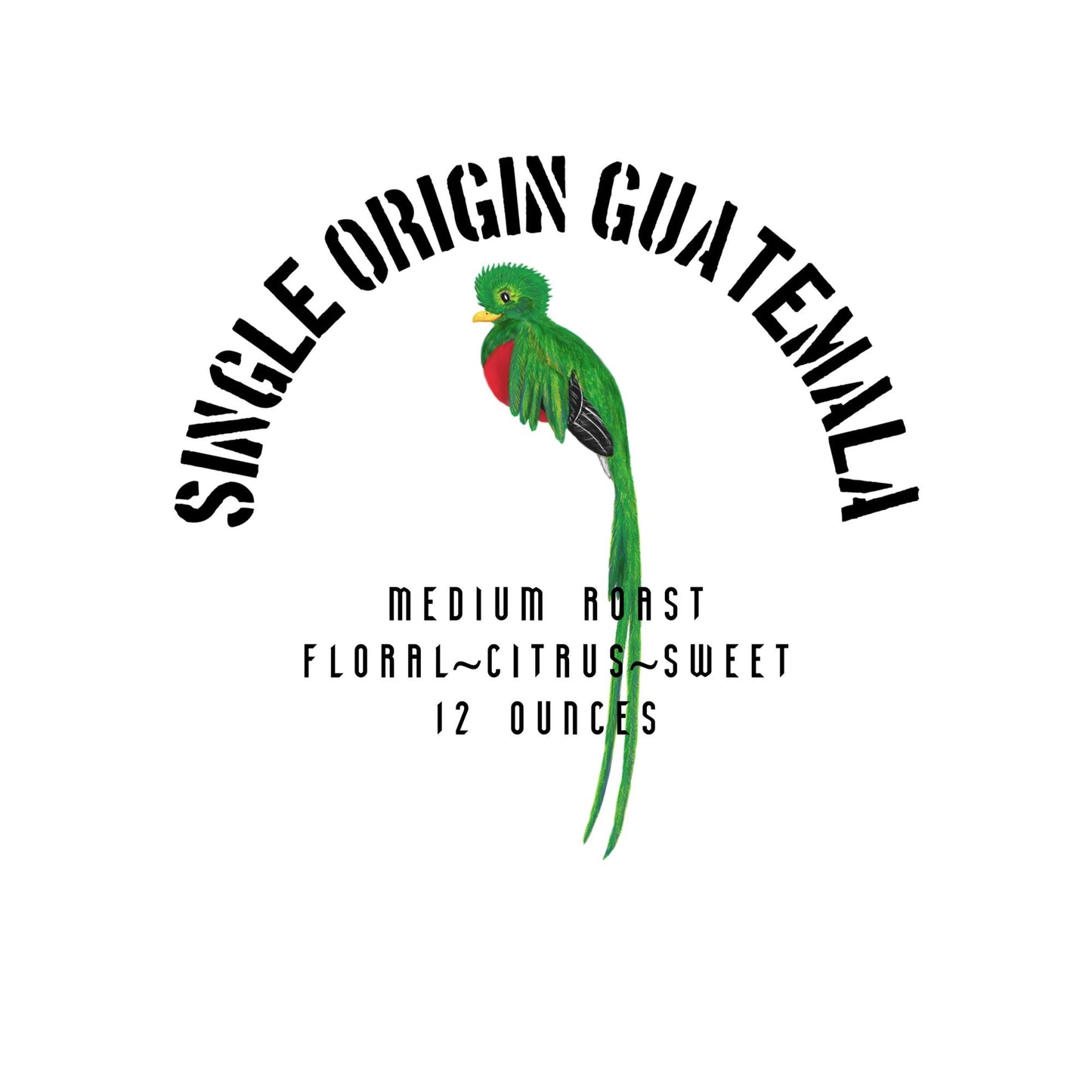 Single Origin Guatemala - Whole Bean